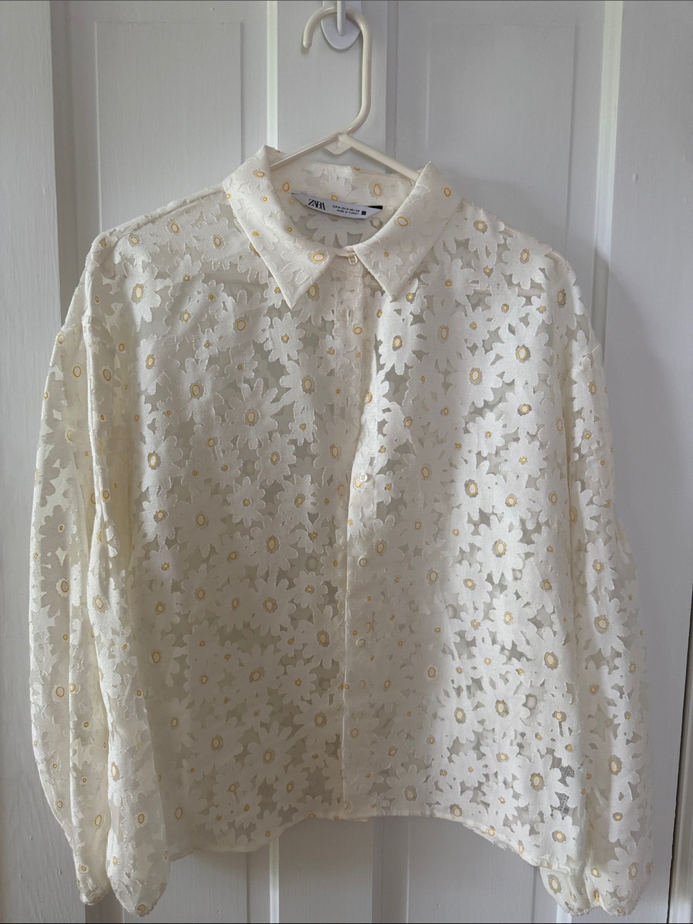 Zara Ivory Eyelet Floral Button-Down Blouse with Cream Accents